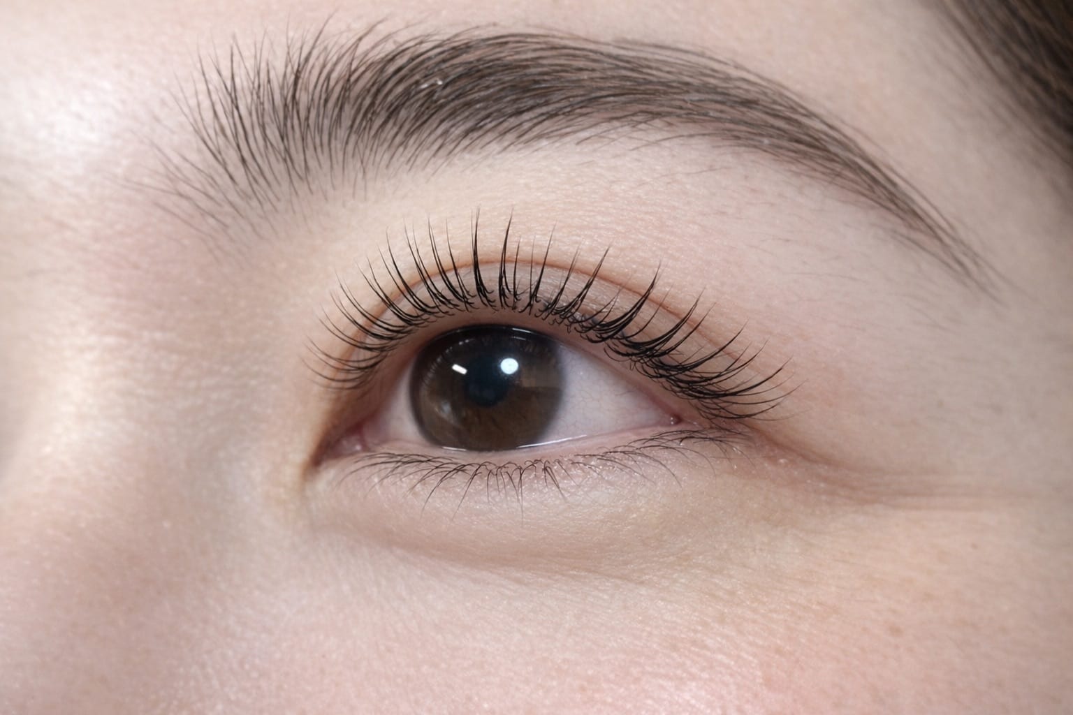 Bellis Lash(銀座)のメンズ眉毛サロン店内写真 1枚目