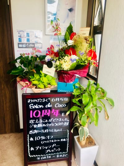 Salon de Coco 店内写真 3枚目