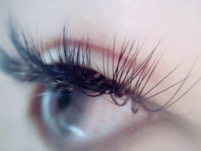 Ciel 店内写真 4枚目
