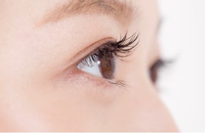 LAURA Eyelash/Eyebrow 店内写真 4枚目