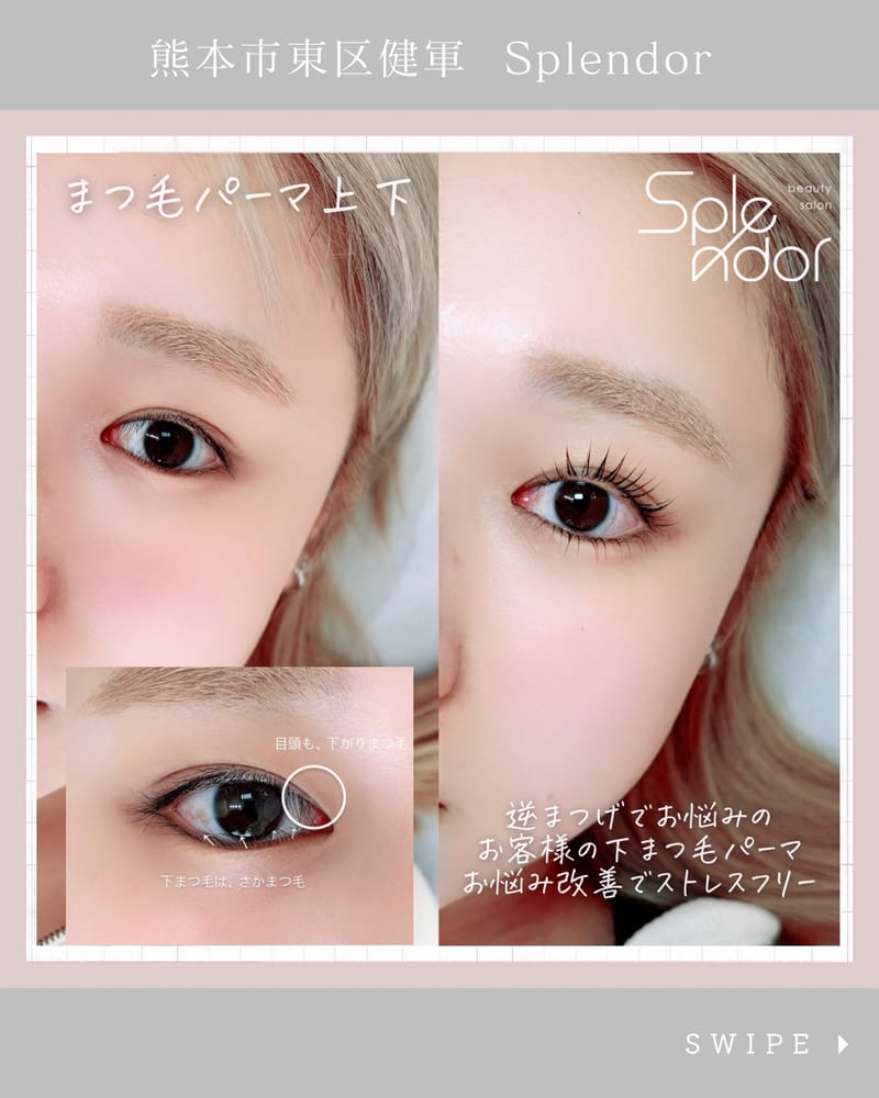 Splendorの店内写真2