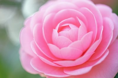 Beauty Salon Radia 店内写真 4枚目
