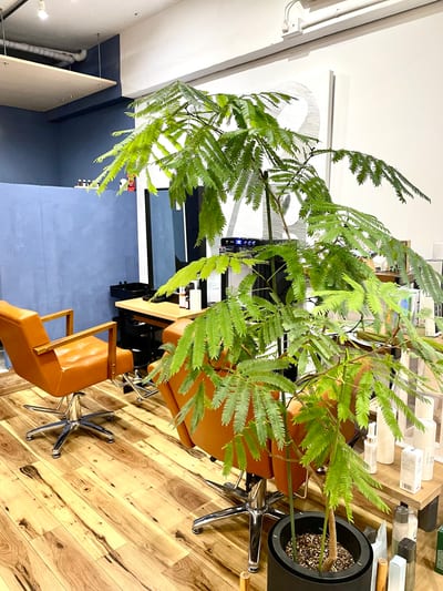 curro 店内写真 4枚目