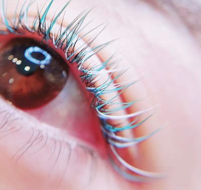 Maile leaf eyelash&eyebrow 店内写真 2枚目