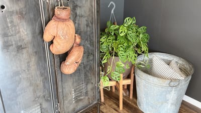 Leere Mimi ．ise 店内写真 1枚目