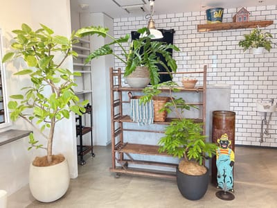 Leere Mimi. otsu 店内写真 1枚目
