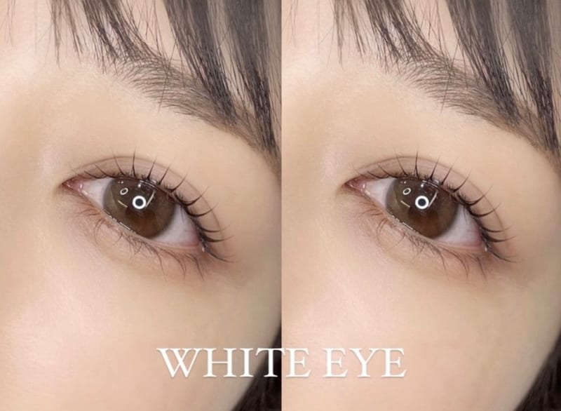 WHITE EYE 名駅の店内写真3