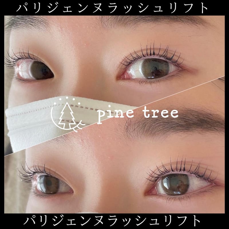 pine treeの店内写真3