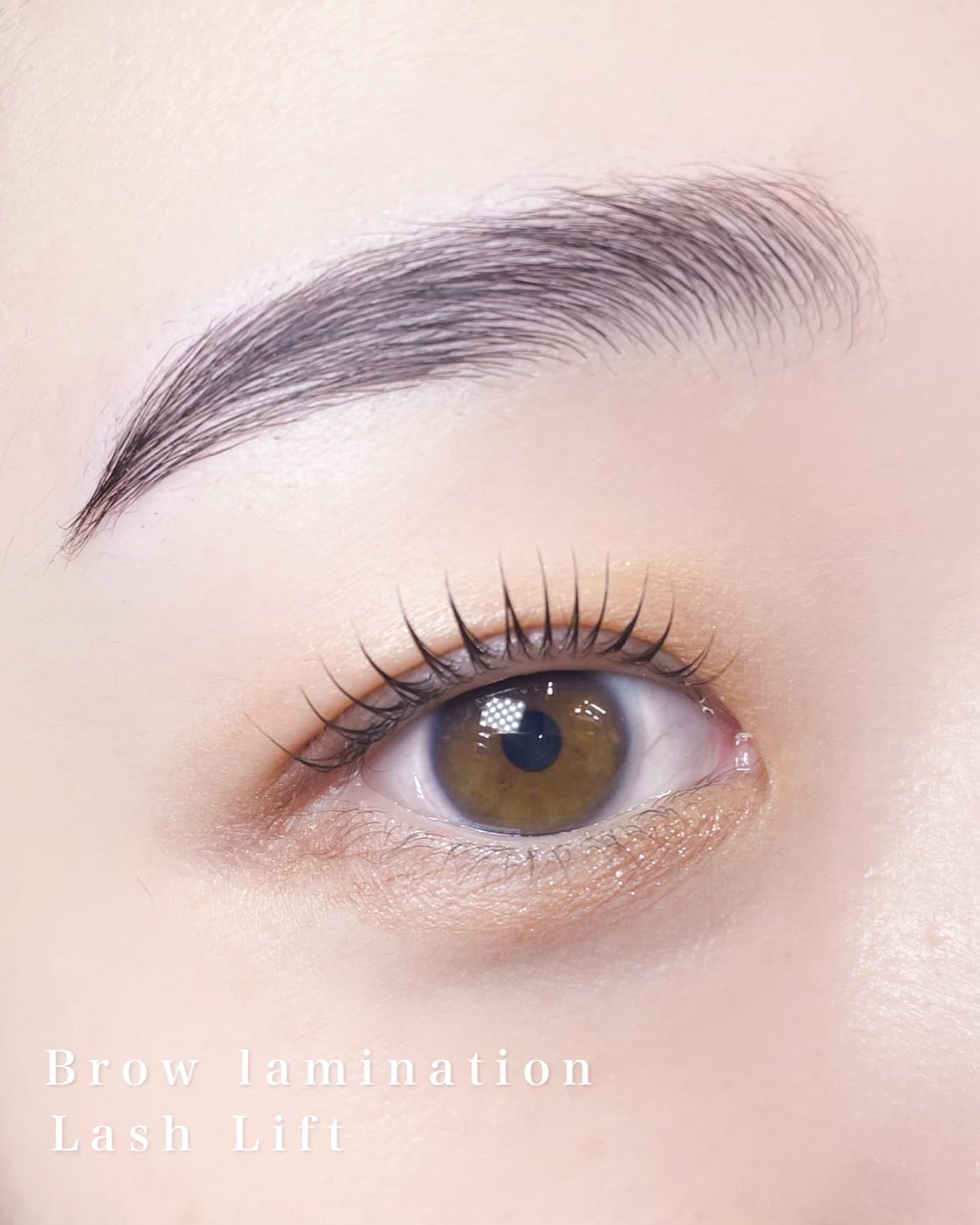 eyebrow & lashlift Ravicils 恵比寿（恵比寿）のメンズ眉毛サロン店内写真 1枚目