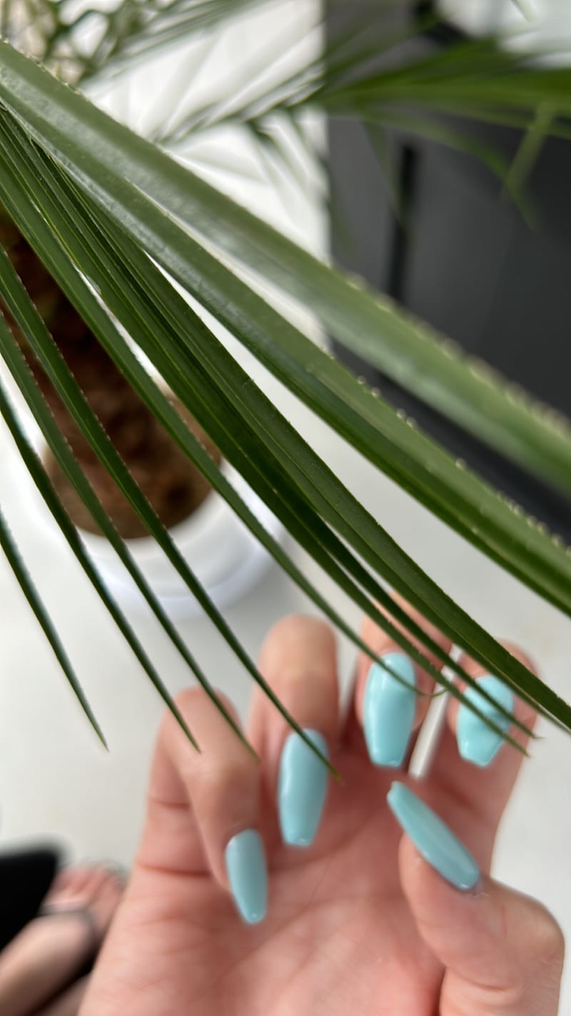 Blue Lagoon まつげと眉毛の専門店の店内写真3