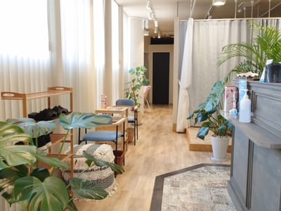 まつ毛&アイブロウ専門店 Mana's salon 川越 店内写真 1枚目