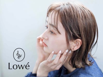Lowe' 店内写真 2枚目
