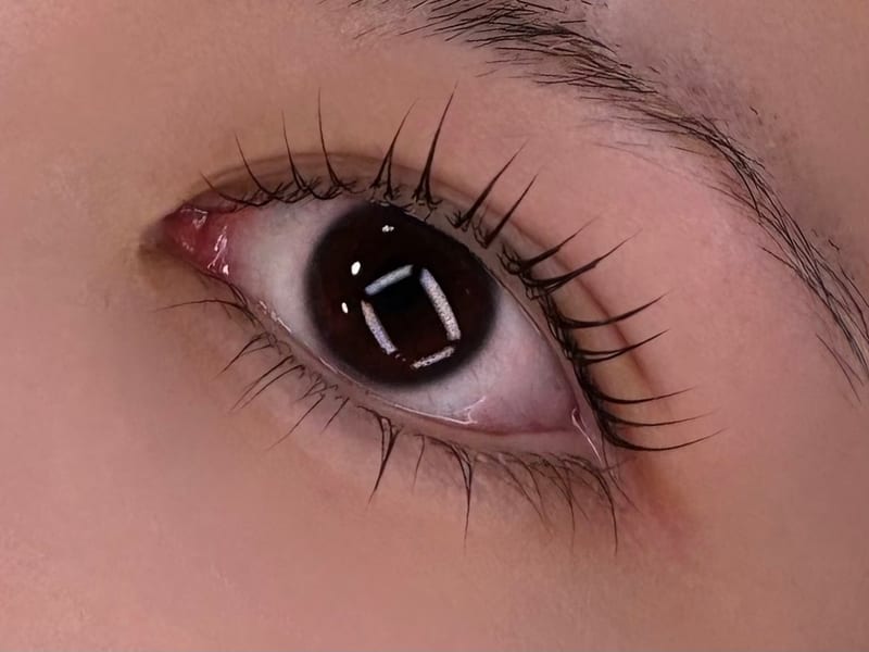 stella eyesalon 北参道 マツエク・アイブロウ・まつげパーマ・眉毛パーマの店内写真3