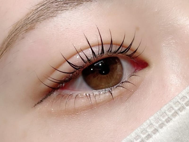 LAUREL EYE 小倉店の店内写真3