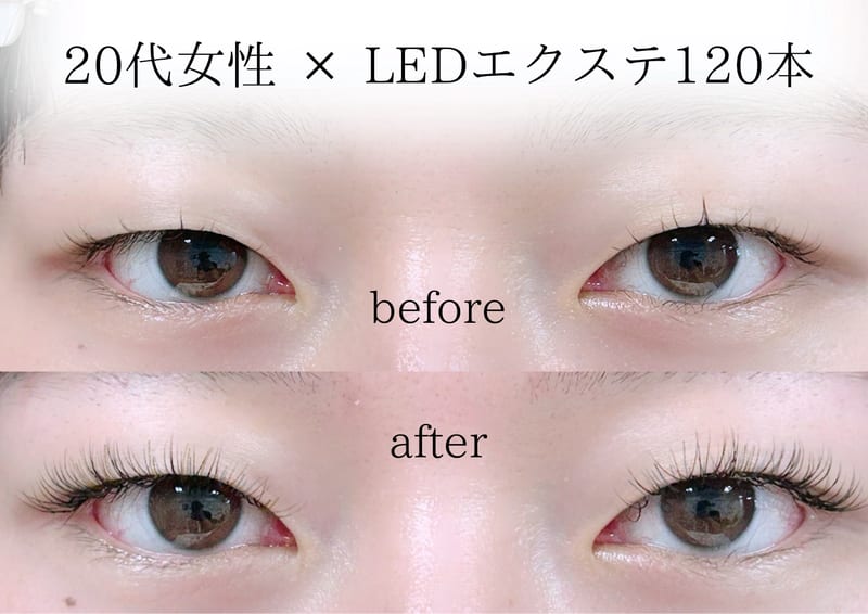 Sein 根津・千駄木の店内写真2