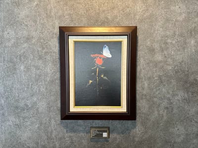 soat 水戸 店内写真 4枚目