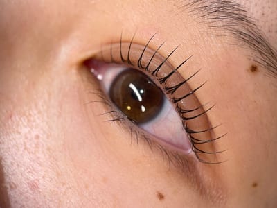 eye design BLINK 店内写真 2枚目