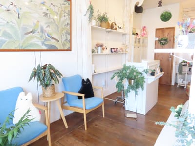 lulu room 店内写真 1枚目