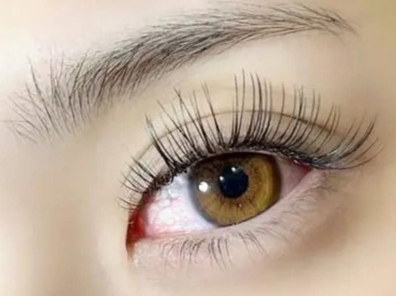 eyelash salon Vivaの店内写真3