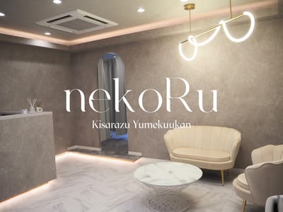 nekoRu アイラッシュ＆アイブロウサロン 木更津 夢空間店 店内写真 1枚目