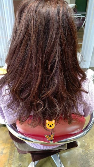 FELICITA ZEAL 店内写真 4枚目